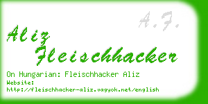 aliz fleischhacker business card